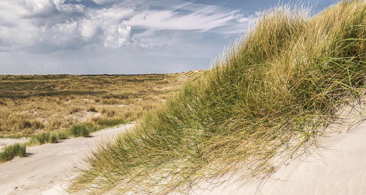 Appartement Kwaak Zandvoort Dış mekan fotoğraf